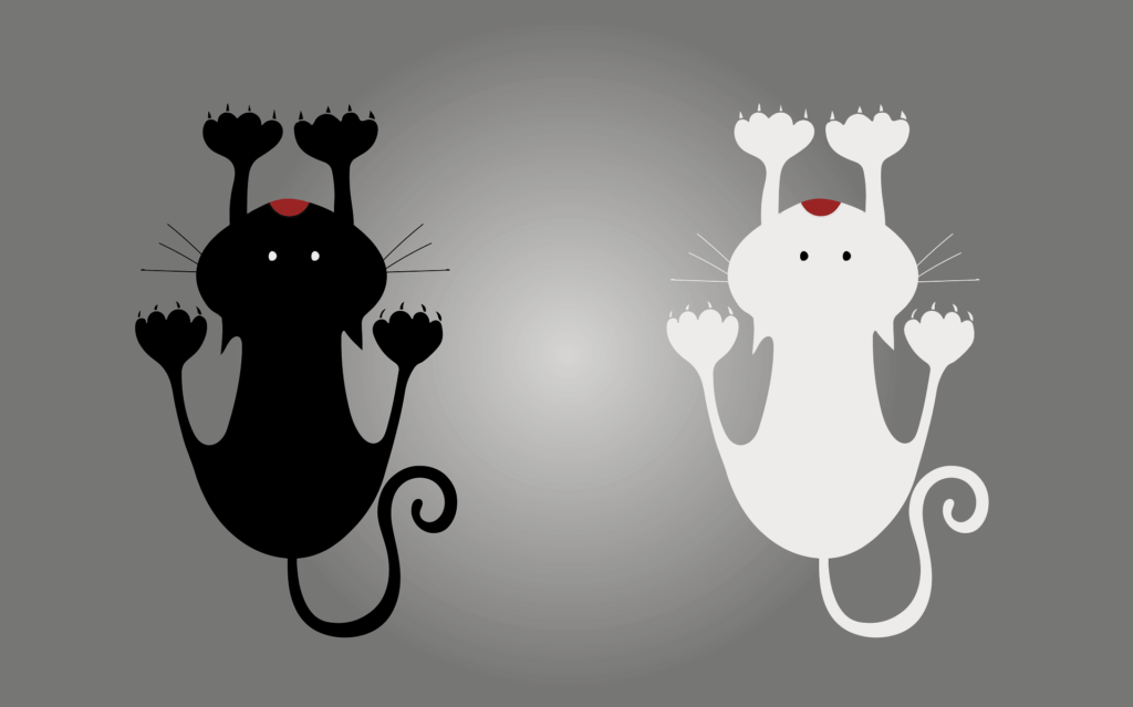 design sans titre(2)