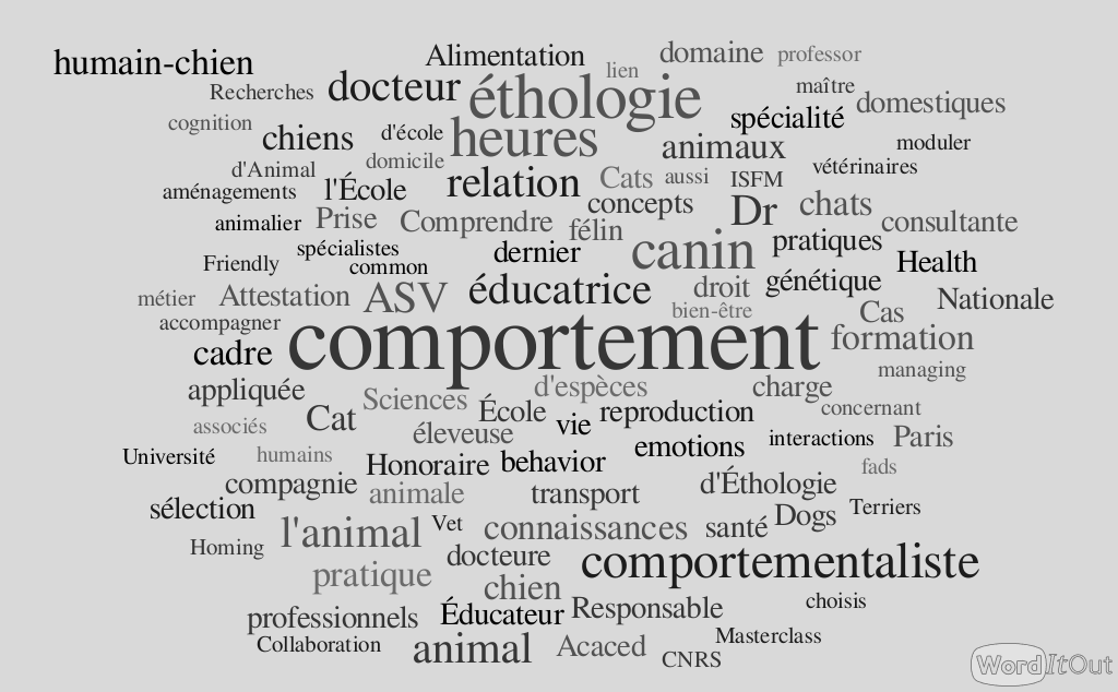 les mots clefs de mes formations